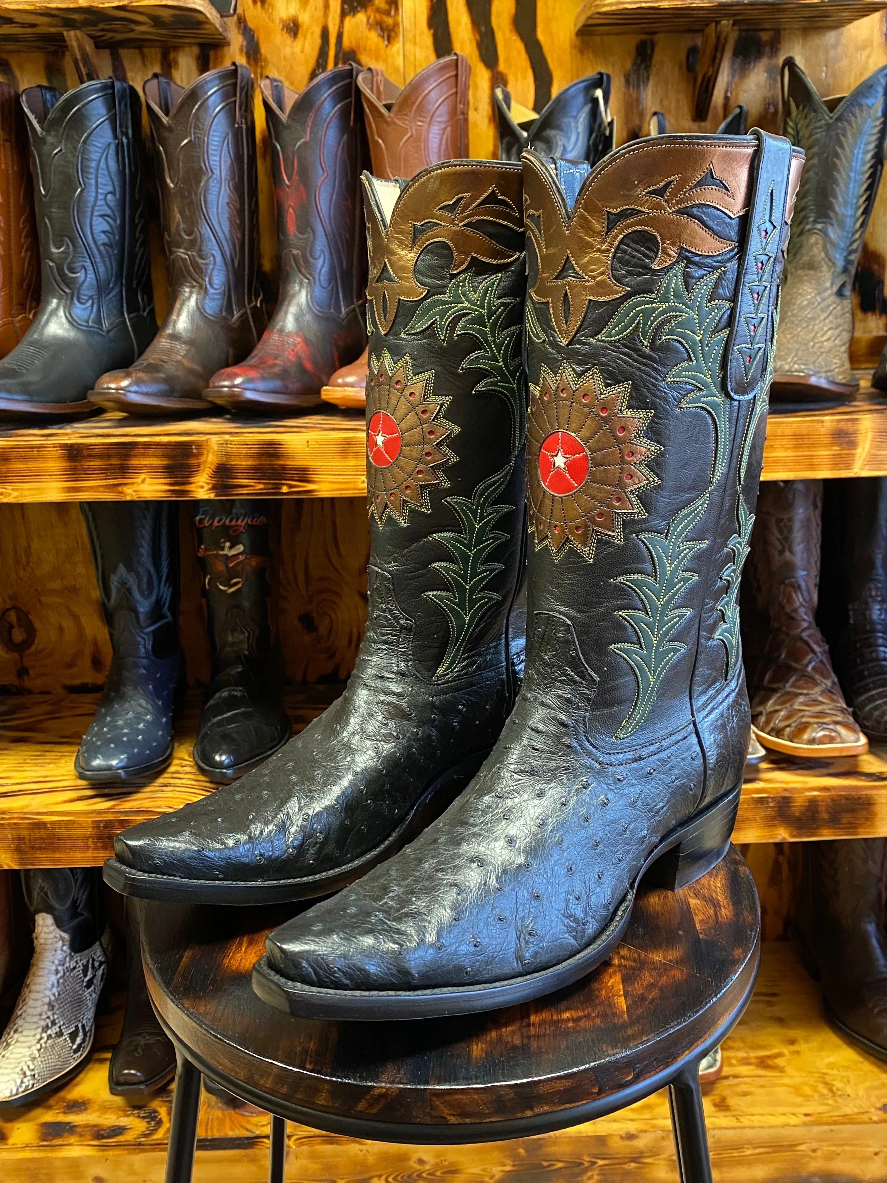 Black Full Quill Ostrich Custom 9D