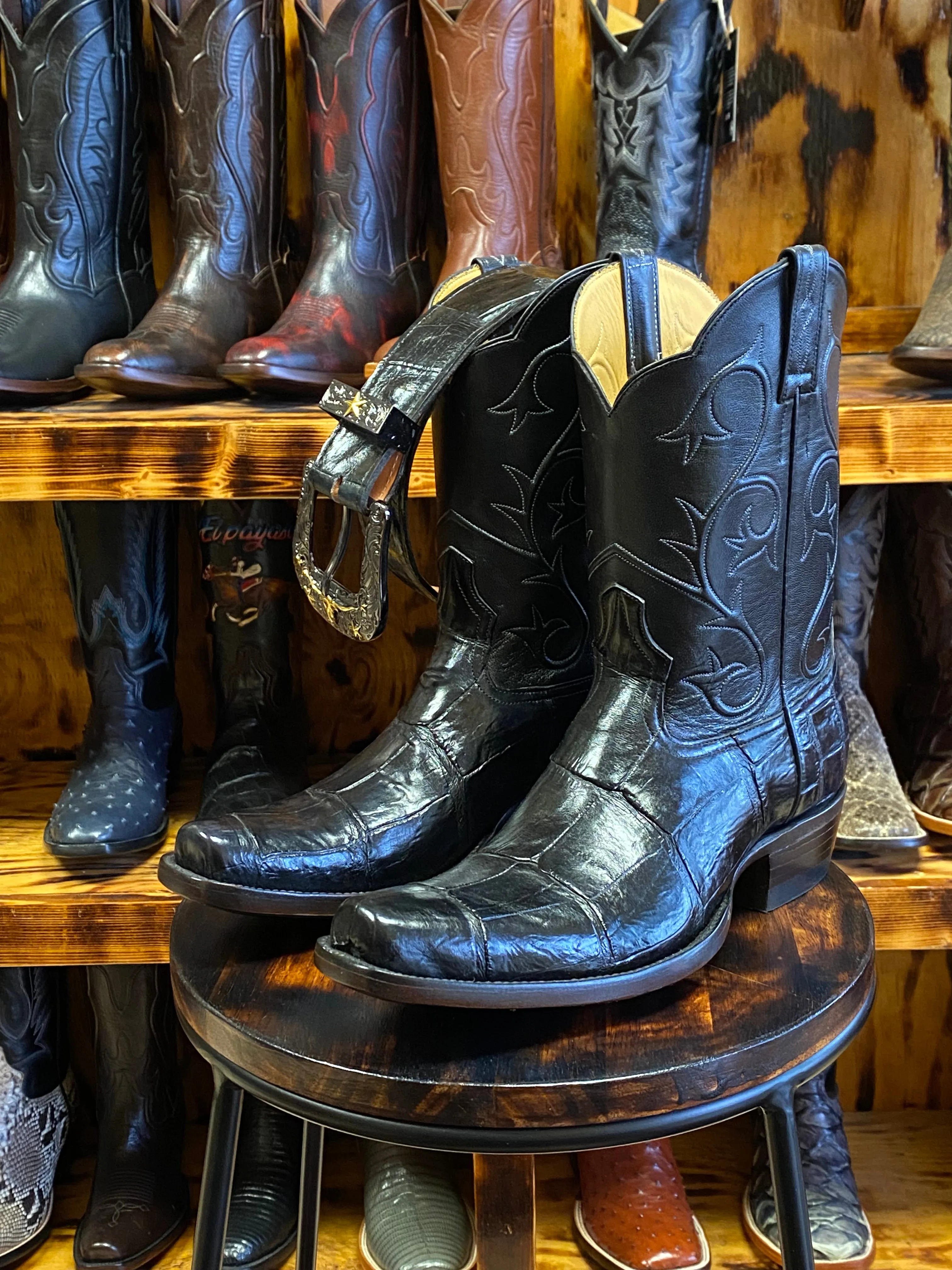 Black Giant Gator Peewee Style 9D