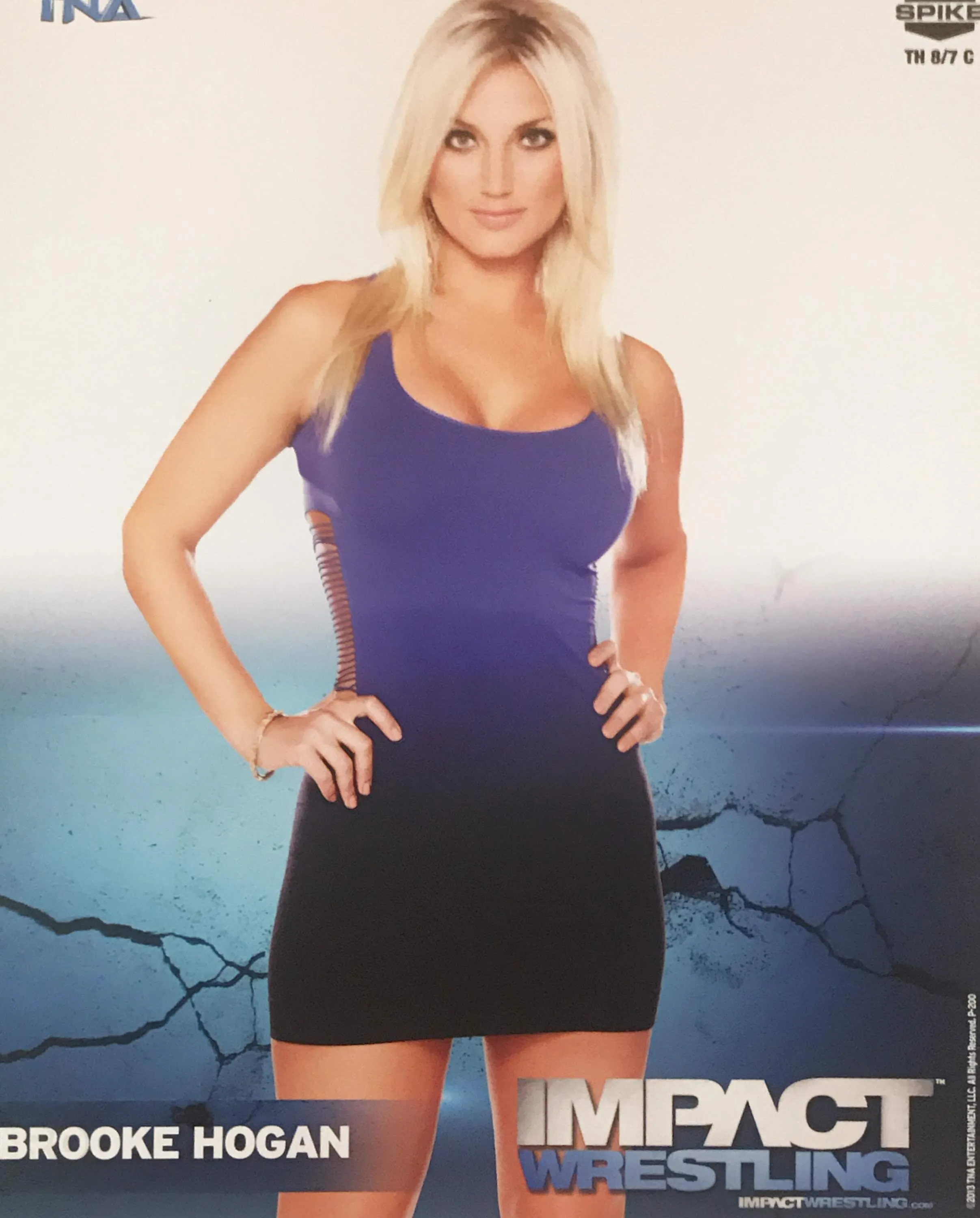 Brooke Hogan - TNA Impact Wrestling 8x10 Photo