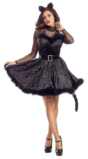 Class Act Cat Costume