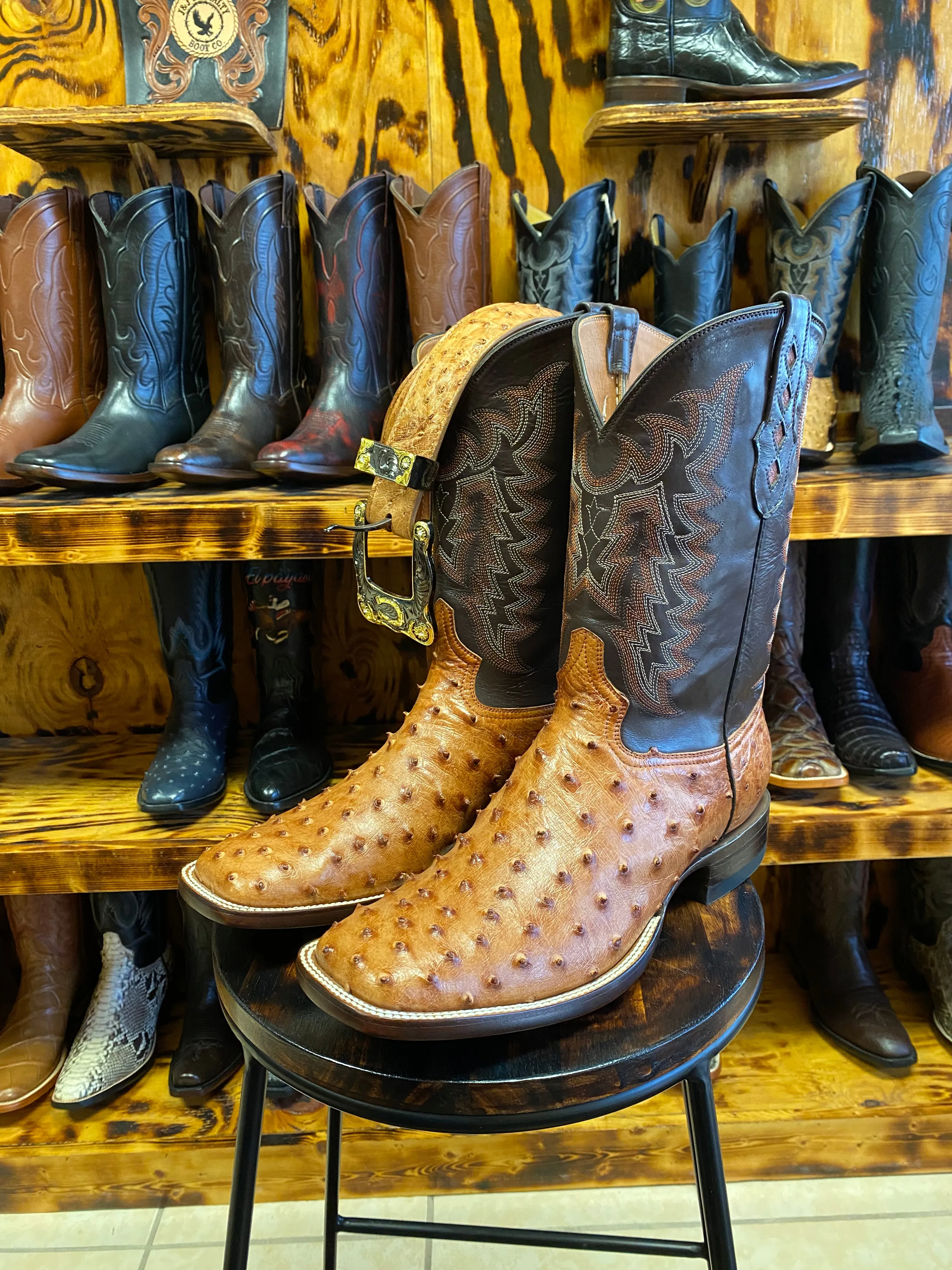 Cognac Burciatto Full Quill Ostrich 13D