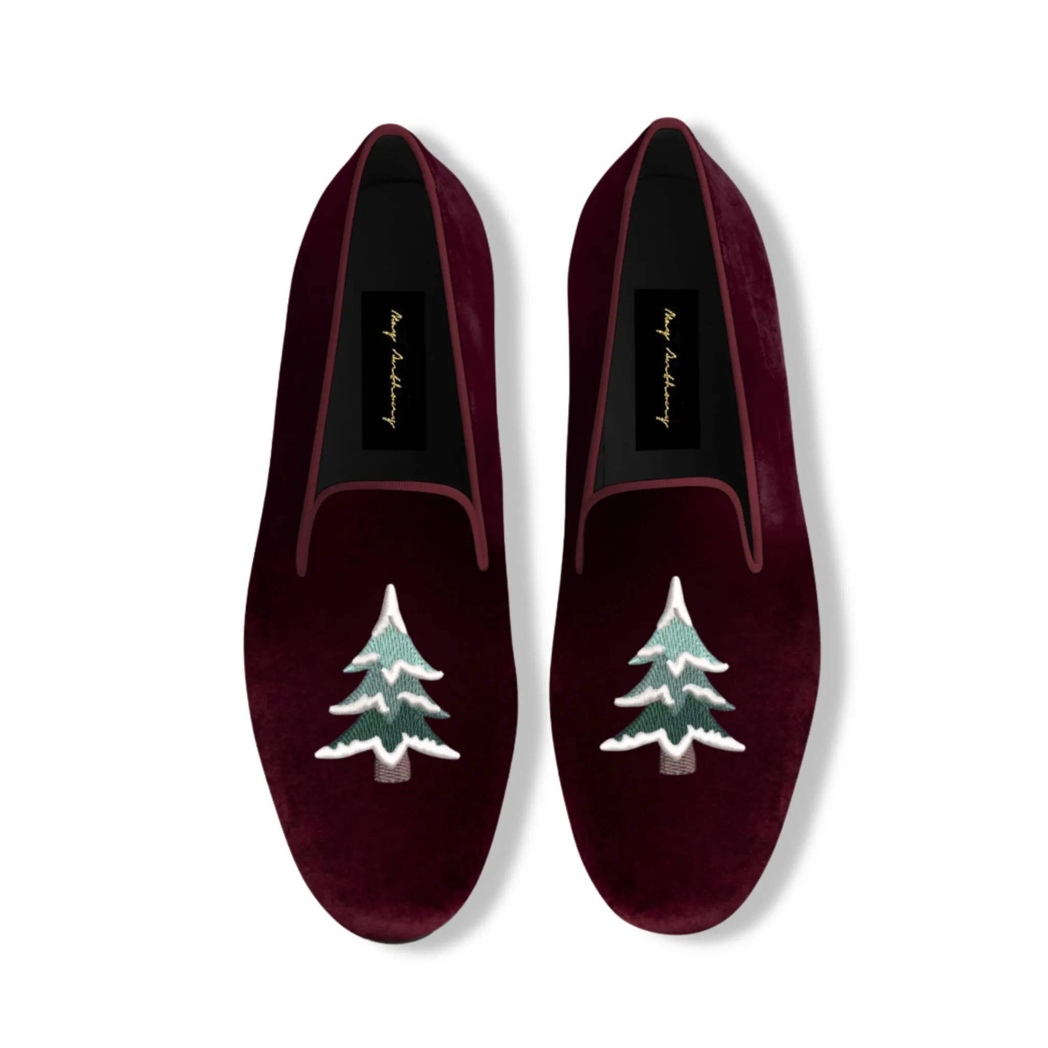 Conifer