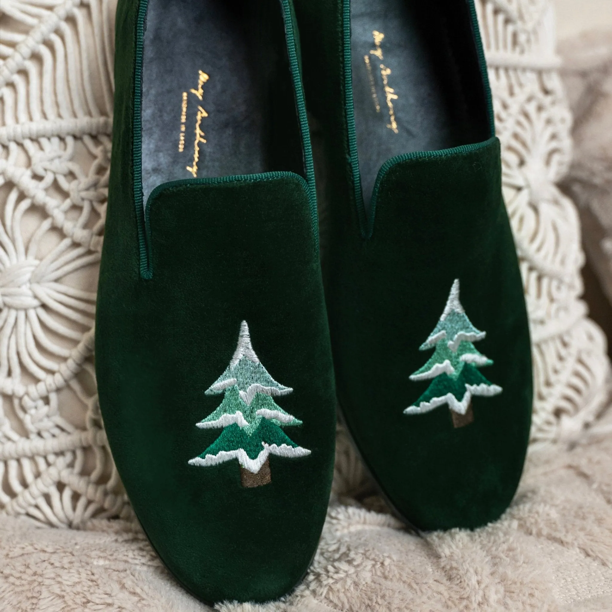Conifer