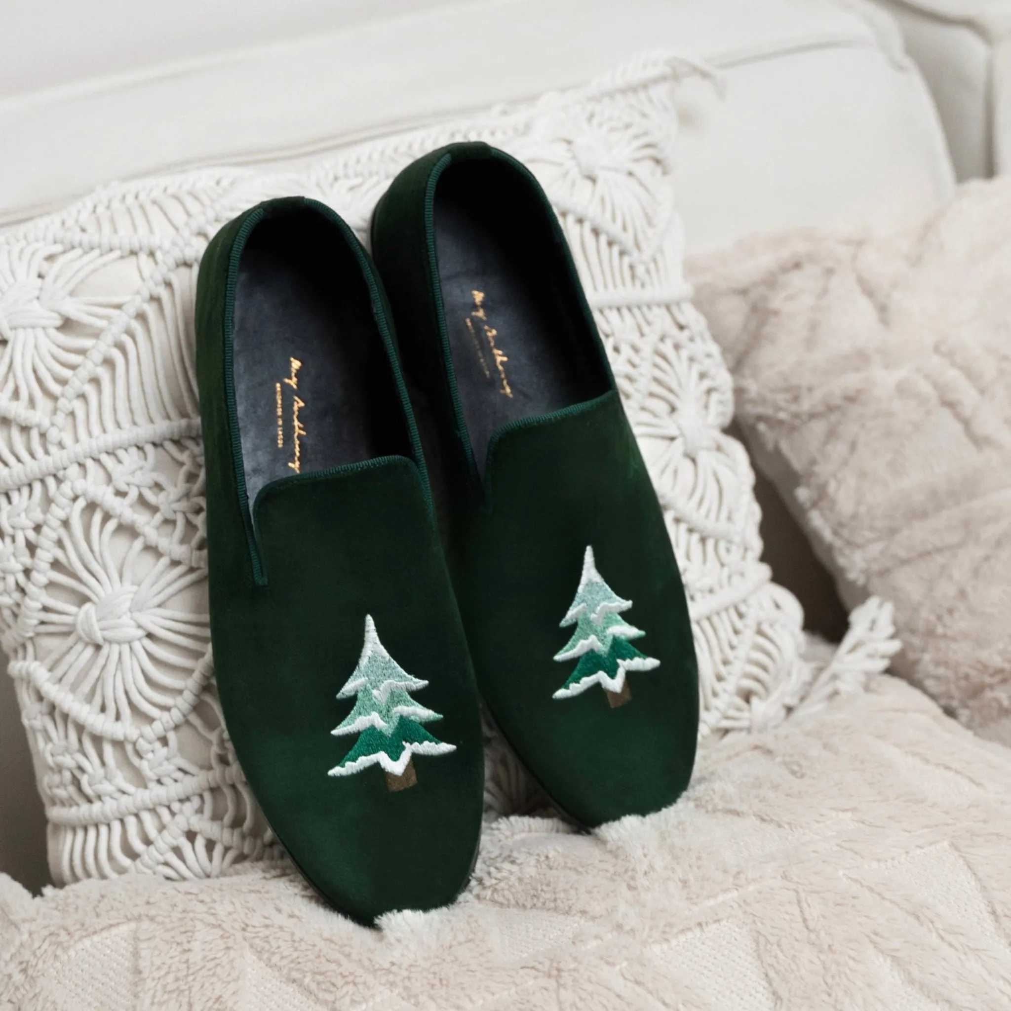 Conifer