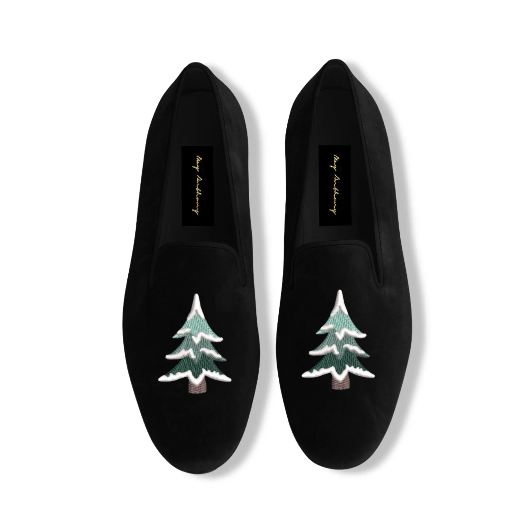 Conifer