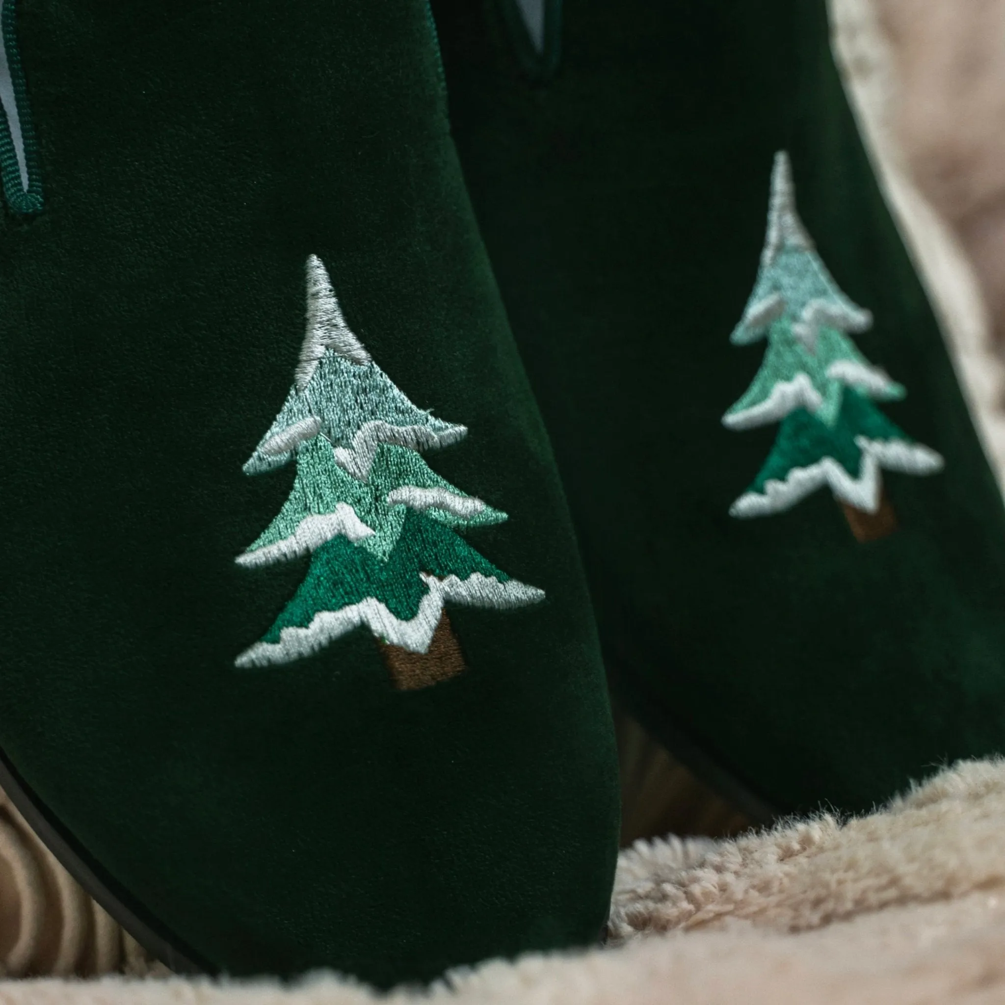 Conifer