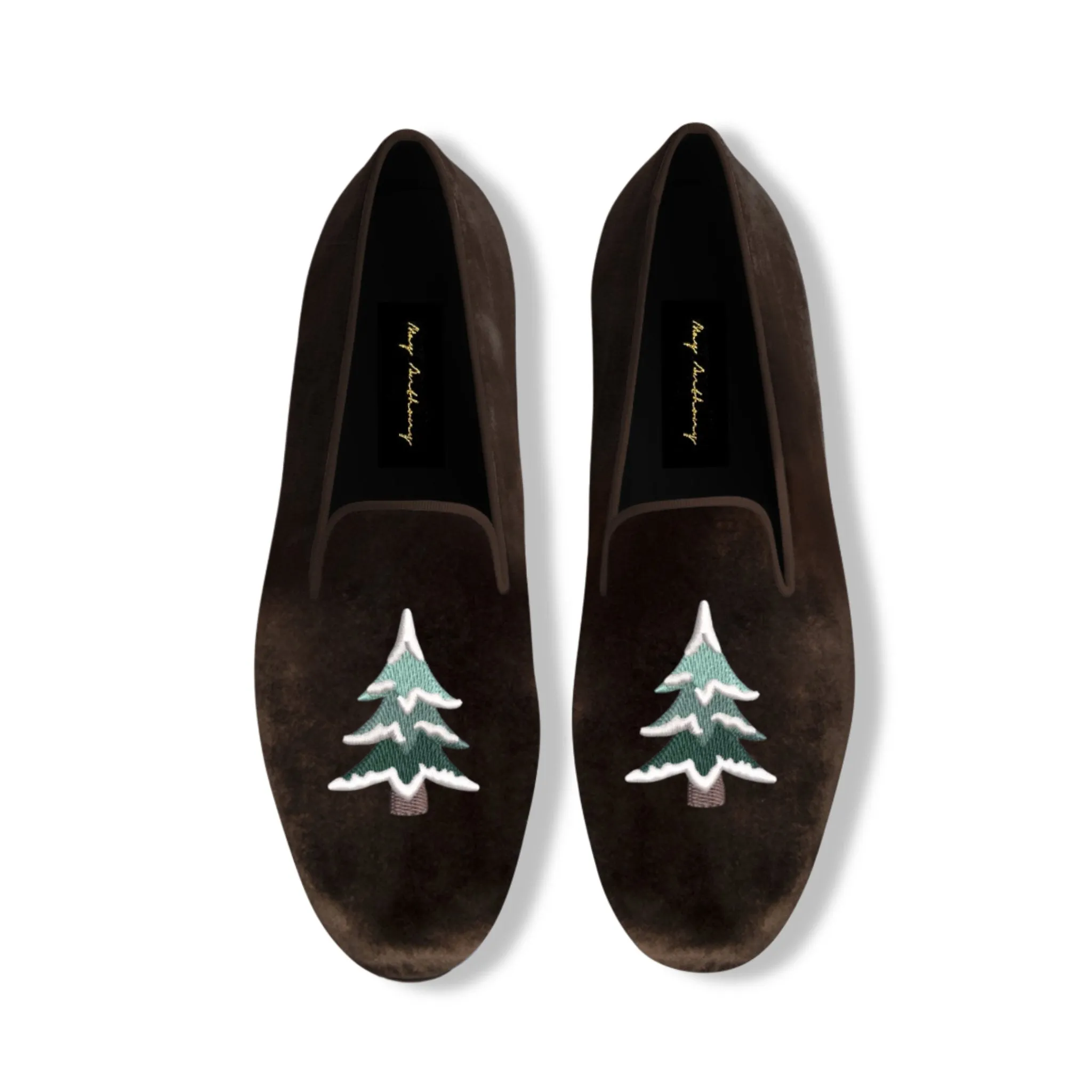 Conifer