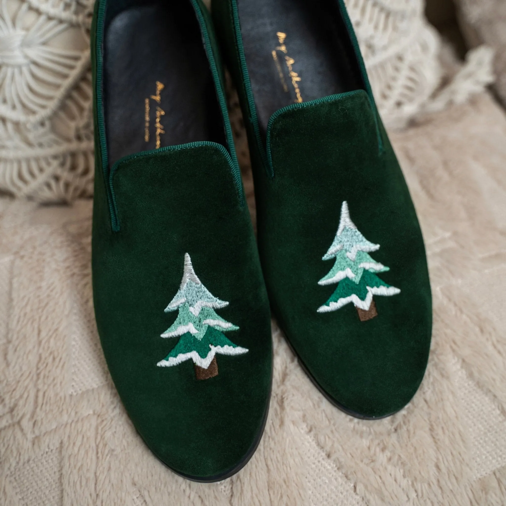 Conifer