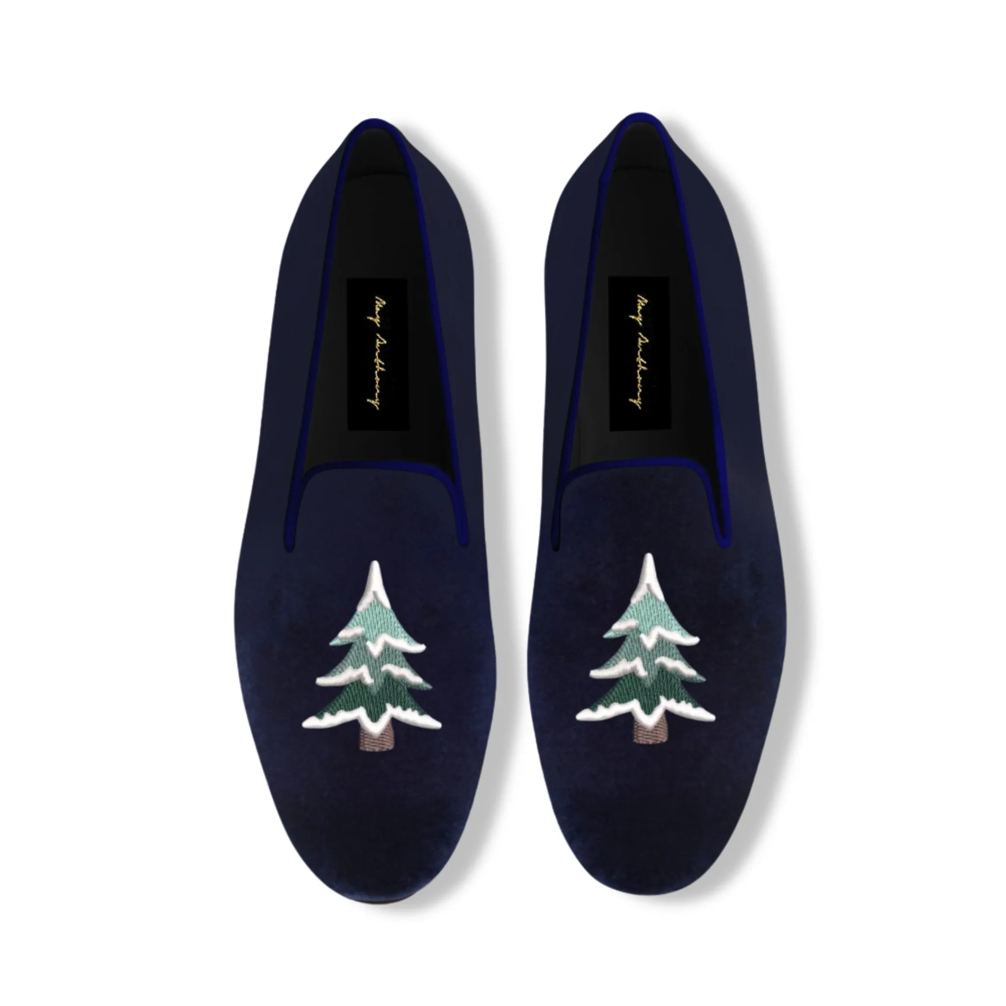 Conifer
