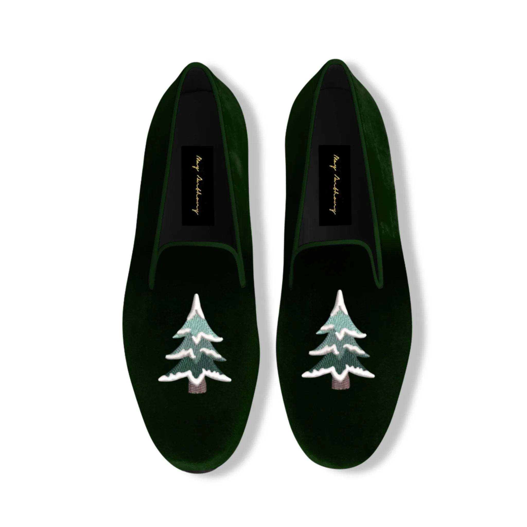 Conifer