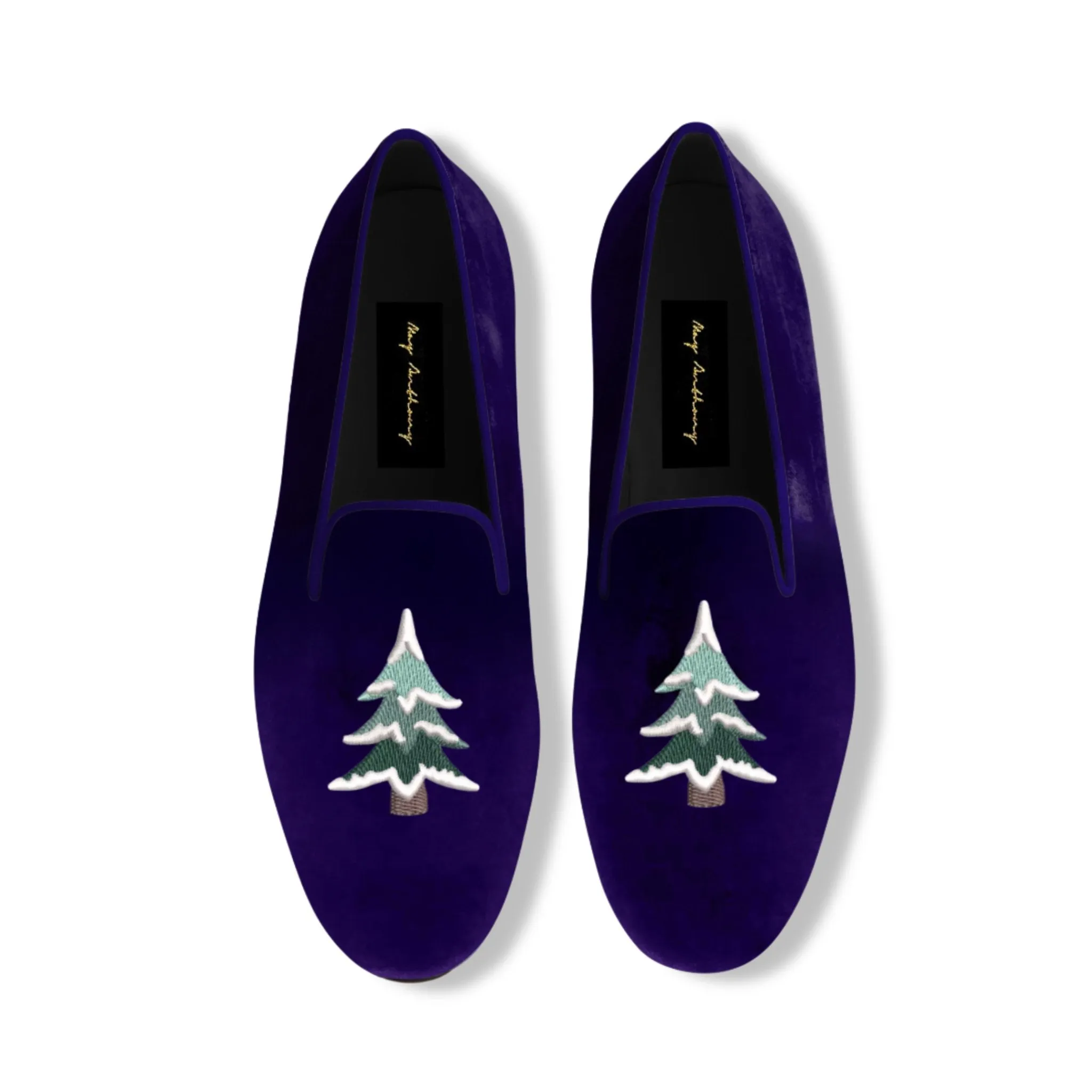 Conifer