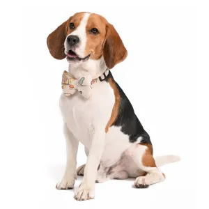 Every Flavour Beans Dog Bow Tie