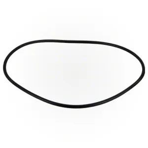 Jandy FloPro Backplate O-ring R0480300