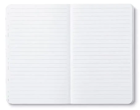 No Ordinary Cats notebook