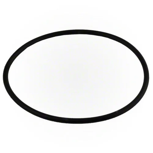 Pentair Dynamo Pump Lid O-ring 354533