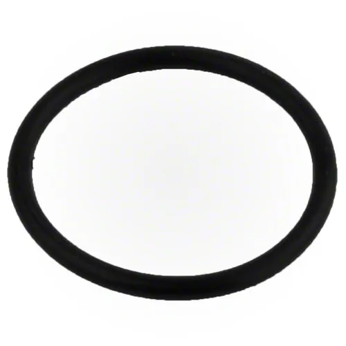 Pentair OptiFlo Pump O-ring 350103