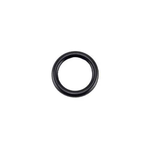 Speck Pump Casing Drain Plug O-Ring 2923541220