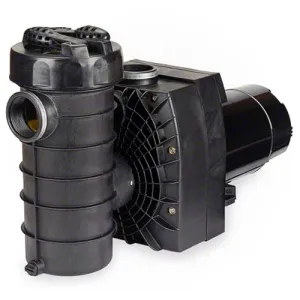 Speck Pumps 433-IV 2 HP Single Speed Pump IG111-1200M-000